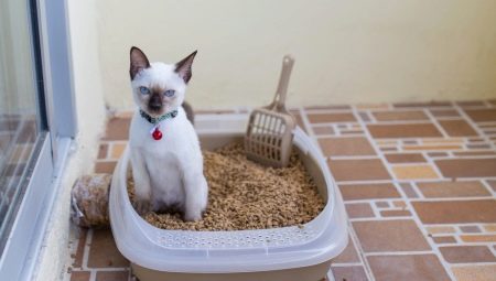 Лоток для кошек: виды, размеры и правила выбора