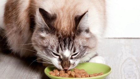 Влажные корма для кошек супер-премиум-класса: состав, марки, выбор