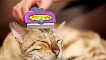 Фурминаторы для кошек: описание, виды, выбор и применение
