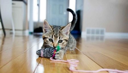 Как сделать игрушку для кошки своими руками? 