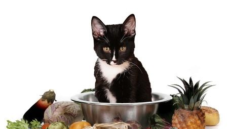 Как выбрать вегетарианские и веганские корма для кошек?