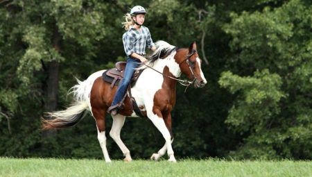 Катание на лошадях: преимущества, недостатки и основные рекомендации