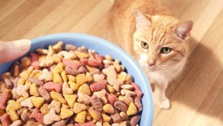 Сравнение сухие корма для кошек thumbnail