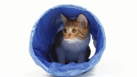 Тоннели (туннели) для кошек: виды и критерии выбора