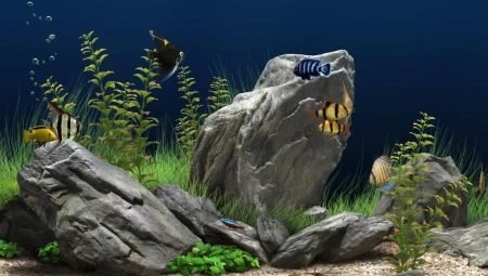 Камни для аквариума: виды, выбор и применение 