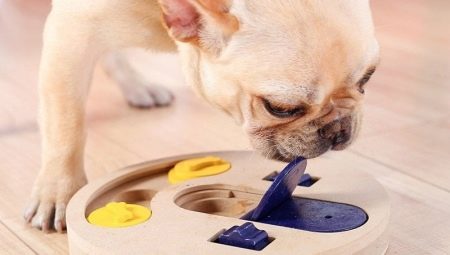 Развивающие игрушки для собак