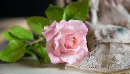 Розы из холодного фарфора: особенности изготовления