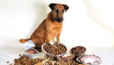 Сухие корма премиум-класса для собак