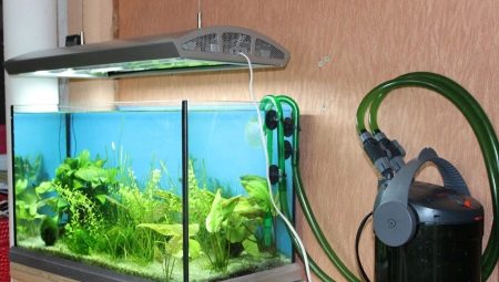 Внешние фильтры для аквариума: устройство, выбор и установка