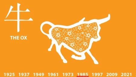 1985 – год какого животного и что он означает? 