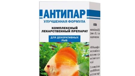 «Антипар» для рыб: описание и инструкция по применению