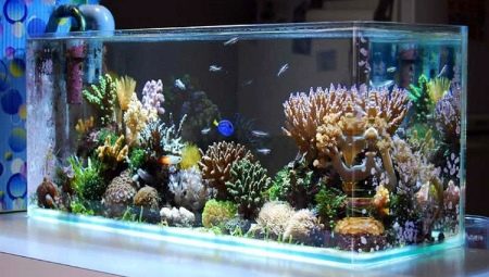 Декор для аквариума: виды и применение