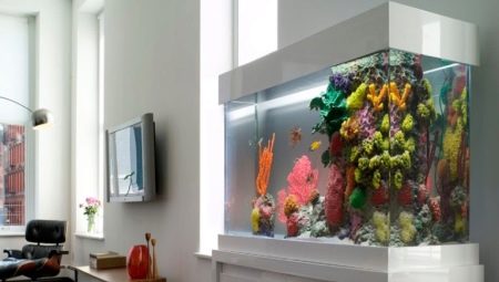 Искусственный аквариум: виды и применение 