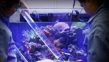 Можно ли добавлять в аквариум марганцовку. Как продезинфицировать аквариум самыми известными способами? Специализированные препараты из ветаптеки