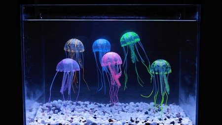 Медузы в аквариуме: какими бывают и как их содержать? 