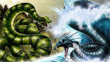 Совместимость Дракона и Змеи в различных сферах жизни