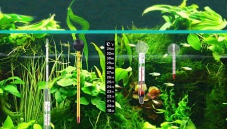 Термометры для аквариума: какими бывают и как подобрать?