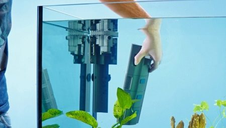 Внутренние фильтры для аквариума: описание, выбор и установка 