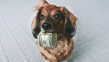 Налог на домашних животных в России