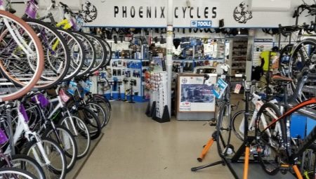 Велосипеды Phoenix: обзор модельного ряда 