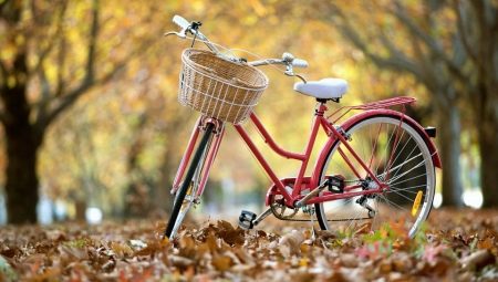 Обзор бюджетных велосипедов и советы по их выбору 