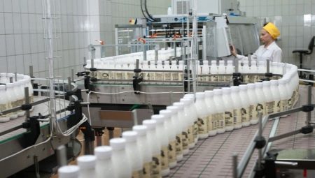 Все о профессии технолог молочного производства