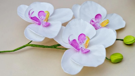 Делаем орхидеи из фоамирана