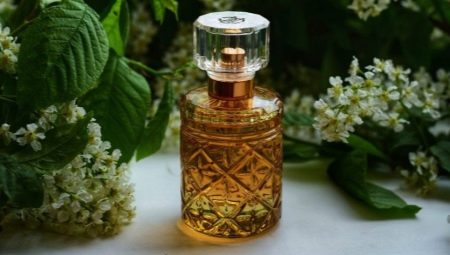 Шипровые ароматы в парфюмерии