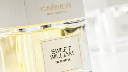 Все об испанской парфюмерии 