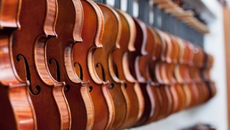 Какой бывает скрипка и как ее выбрать? 