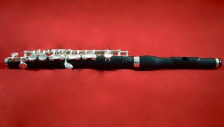 Описание флейт-пикколо и сферы их применения