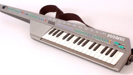 Особенности инструмента клавитара