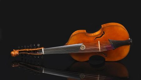 Все о музыкальном инструменте виола
