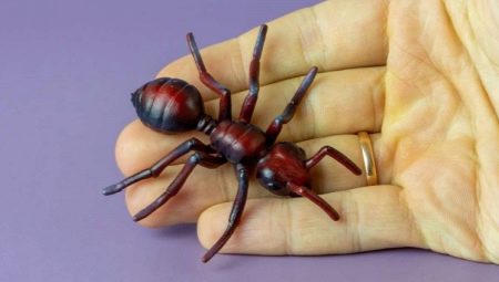 Как лепить муравьев из пластилина?