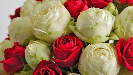 Как звучат розы на языке цветов?