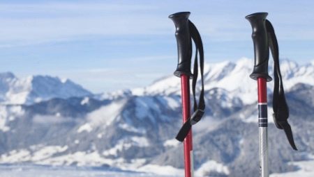 Какими бывают лыжные палки и как их подобрать?