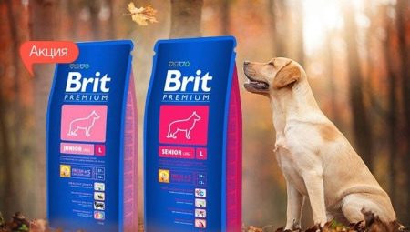 Ассортимент кормов для собак крупных пород Brit
