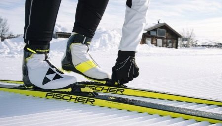 Беговые лыжи от Fischer