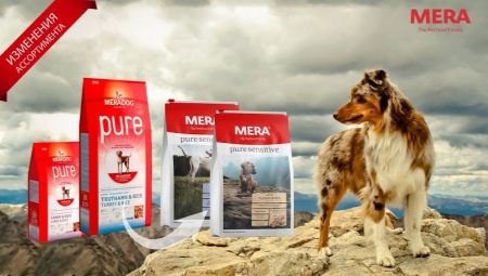 Обзор кормов для собак MERA