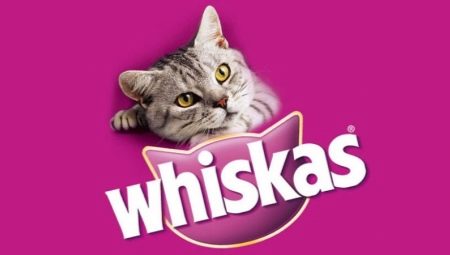 Обзор сухих кормов для кошек и котов Whiskas