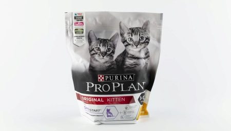 Обзор сухих кормов Purina Pro Plan для котят