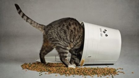 Описание кормов для кошек и котов «Зооменю»