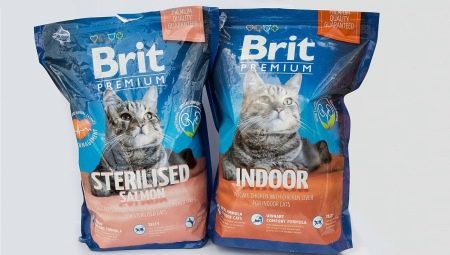 Особенности кормов для кошек и котов Brit