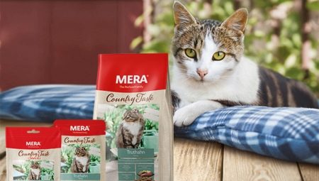 Особенности кормов для кошек и котов MERA
