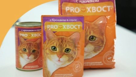 Особенности кормов для кошек и котов ProХвост
