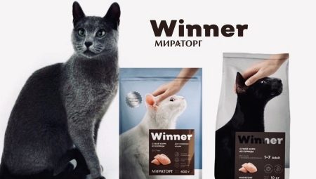 Особенности кормов для кошек и котов Winner