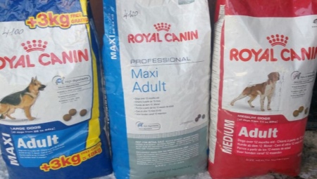Особенности кормов для собак крупных пород ROYAL CANIN