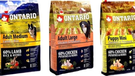 Особенности кормов для собак Ontario