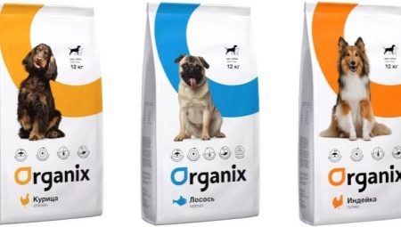 Особенности кормов для собак Organix