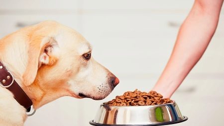 Особенности кормов для собак PURINA ONE